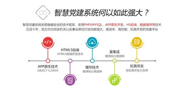 鼎維 以定制化與系統化方案，引領教育軟件創新開發